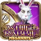White Rabbit